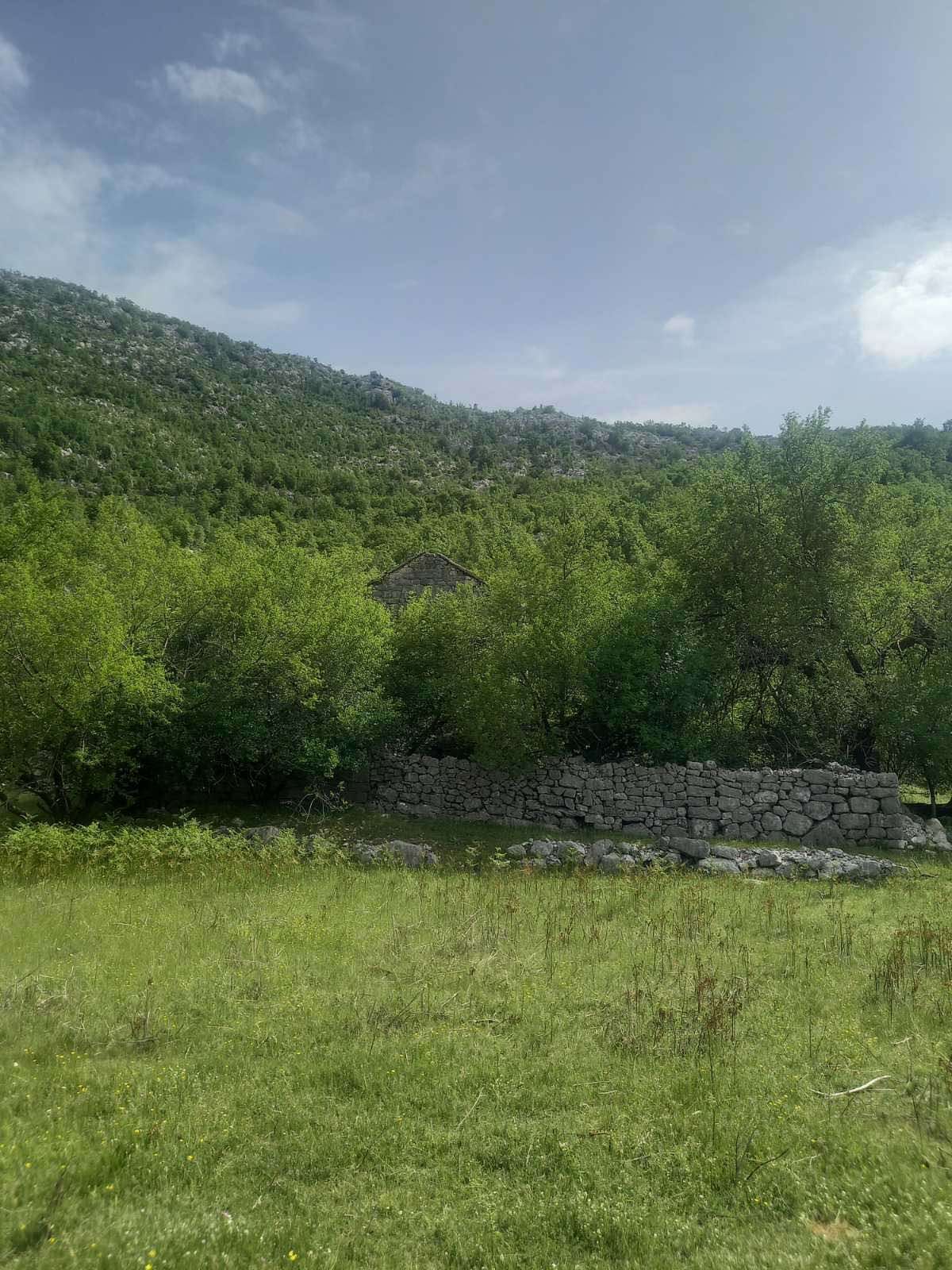 amforaproperty.com/Neurbanizovano zemljiste površine 23.377m2 u mestu Dragalj,opština Kotor.