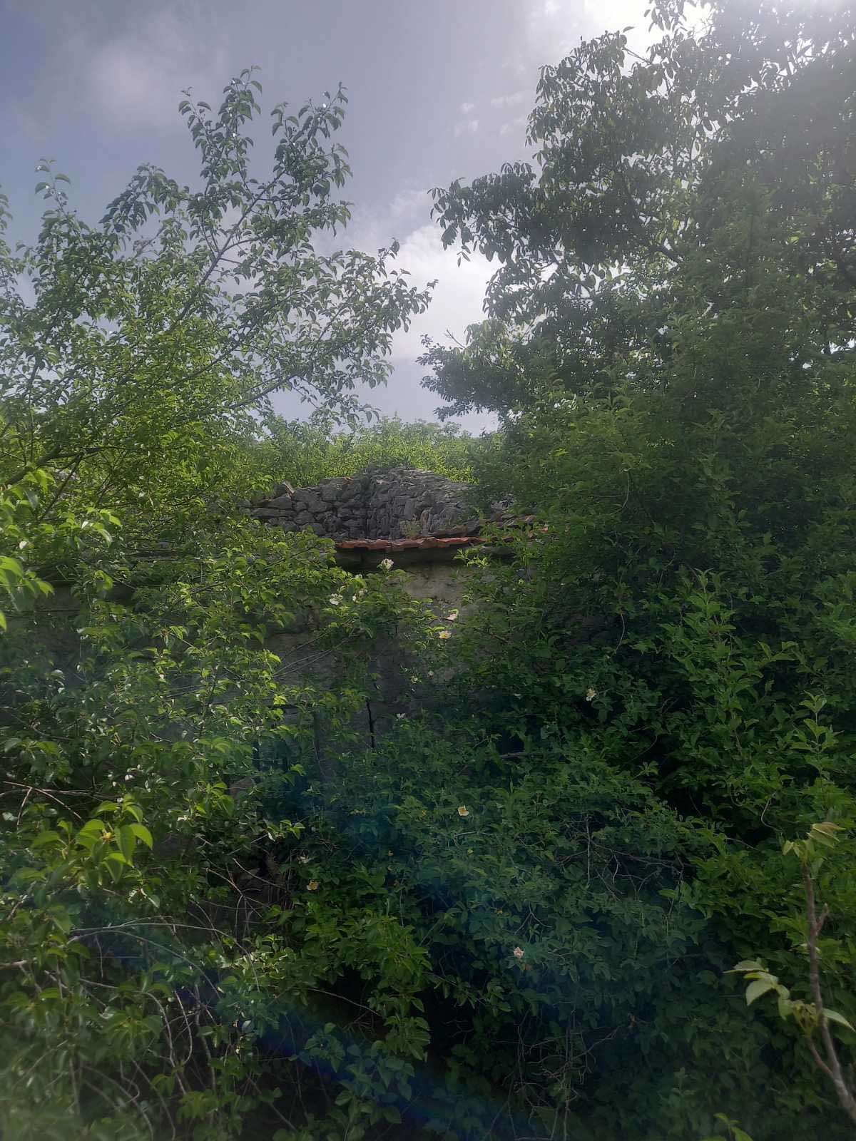 Neurbanizovano zemljiste površine 23.377m2 u mestu Dragalj,opština Kotor. - Amfora Real Estate