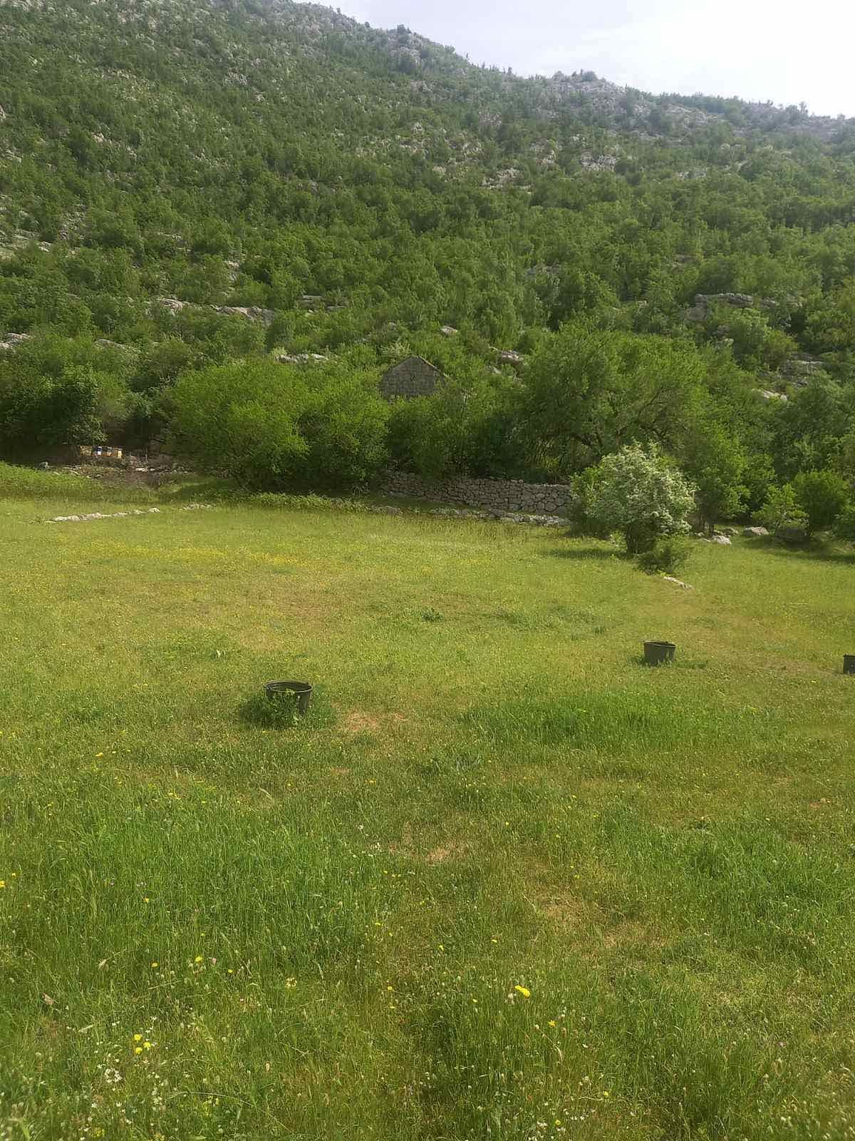 Neurbanizovano zemljiste površine 23.377m2 u mestu Dragalj,opština Kotor. - Amfora Real Estate