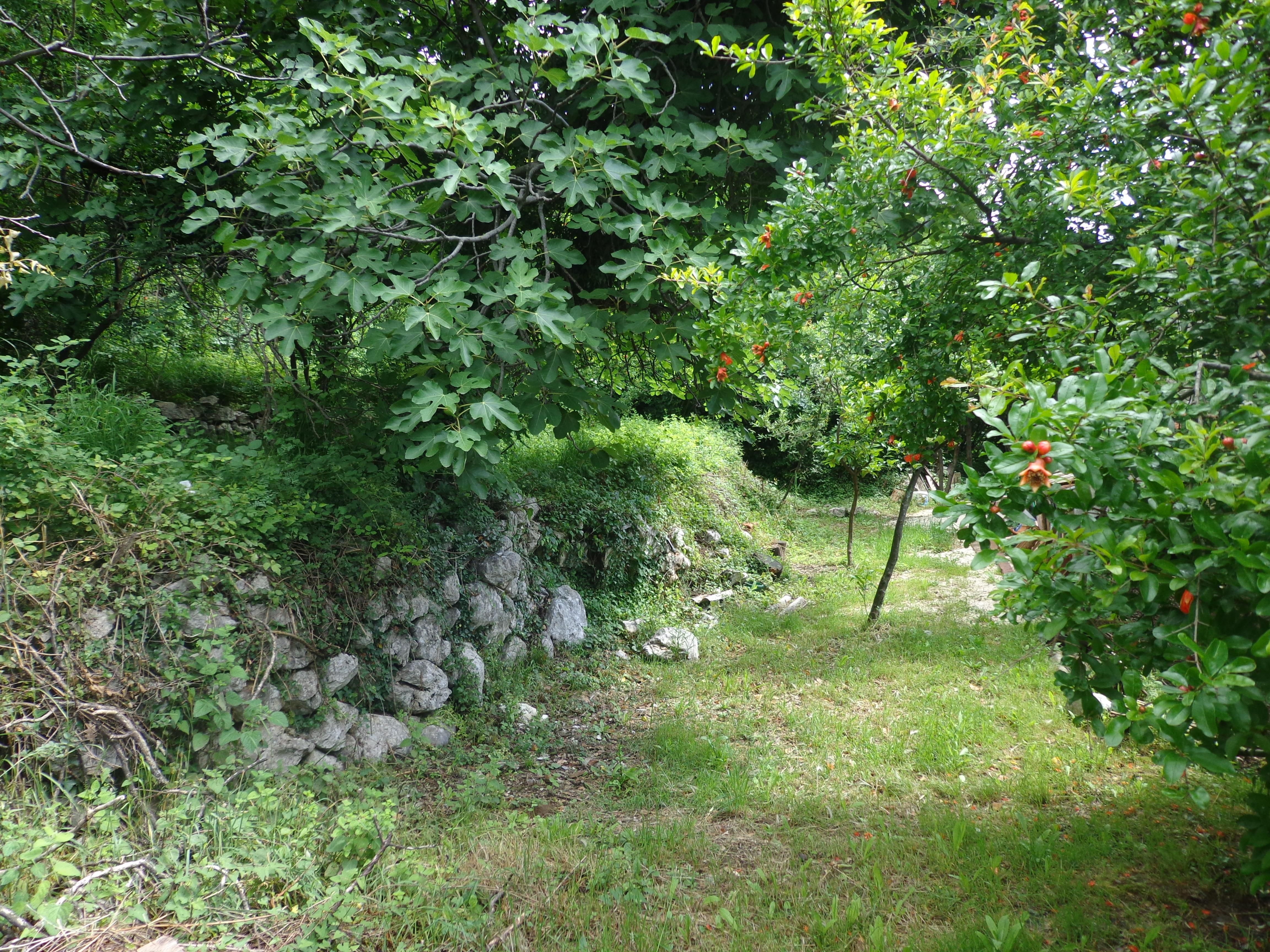 Gradjevinski plac 7,010m2  na 30 metara od mora,Lipci-opština Kotor (Mogućnost zajedničke gradnje) - Amfora Real Estate