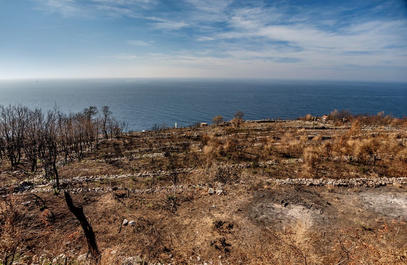 Plac 2550m2 sa otvorenim pogledom na more i idejnim projektom za hotel i vilu, Reževići. - Amfora Real Estate