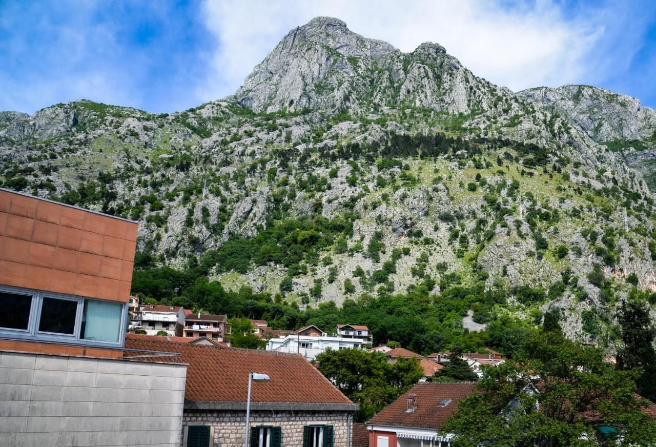 Hotel 550m2 na samo 50 metara od mora i 100 metara od istorijskog centra grada,Kotor. - Amfora Real Estate