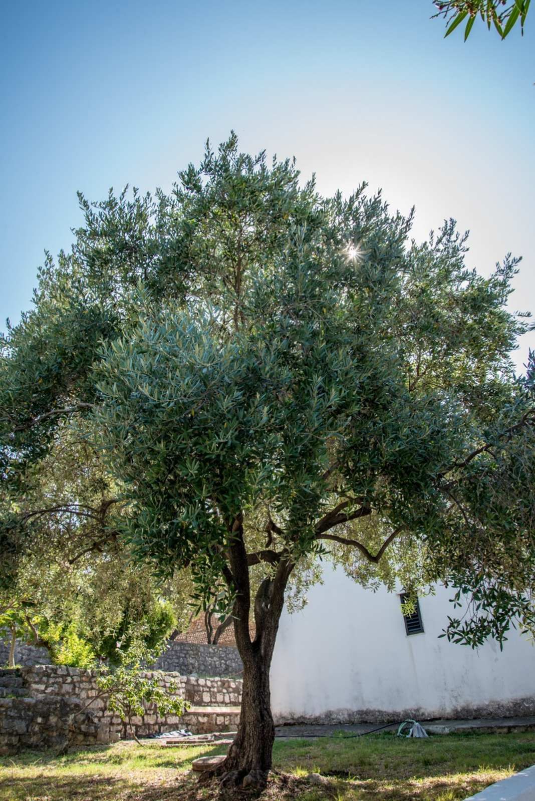 Dvospratna kuca (90m2) na prvoj liniji do mora sa sopstvenom plažom i panoramskim pogledom,Dobre Vode,Bar. - Amfora Real Estate