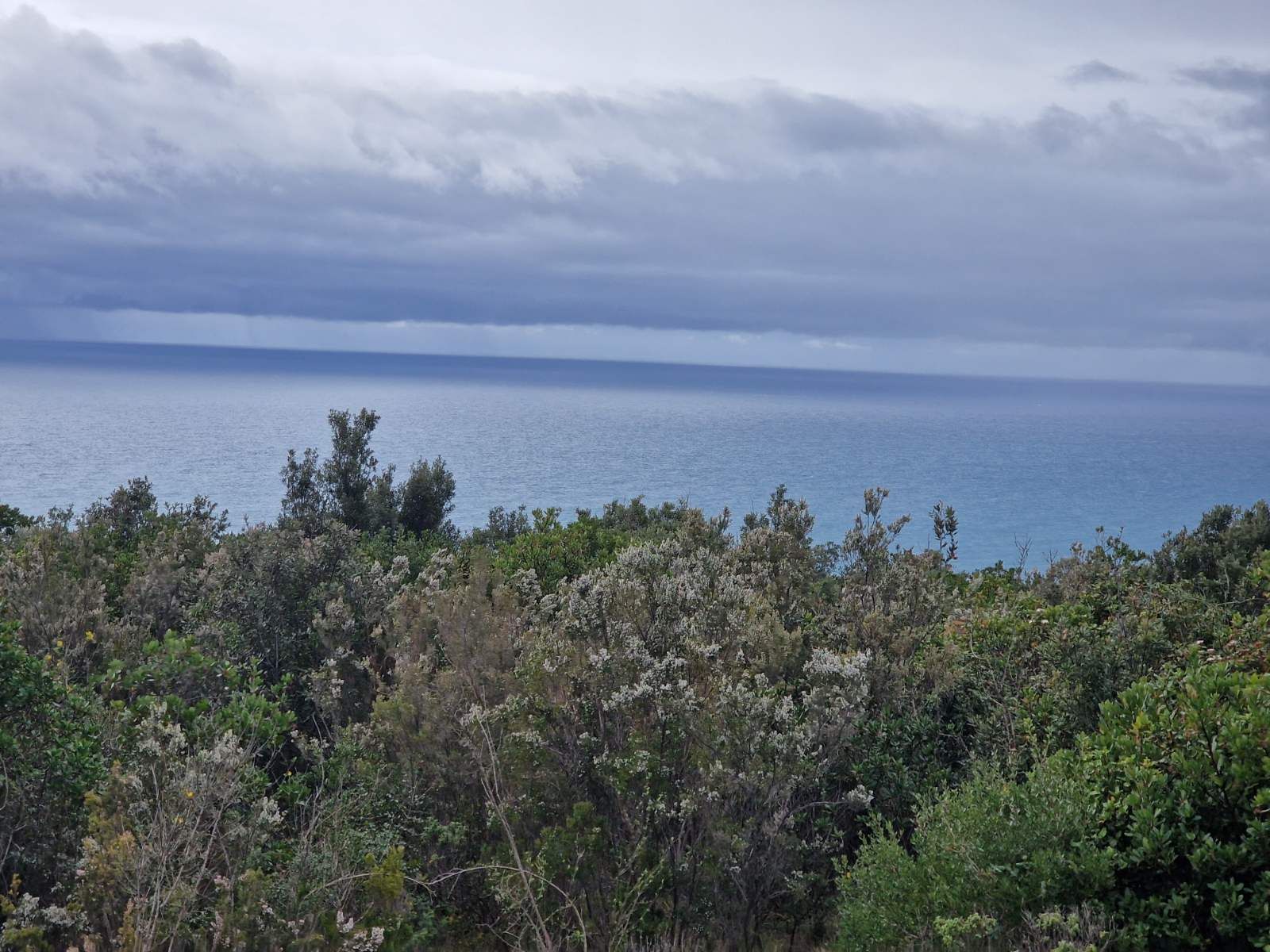 Urbanizovan plac 5000m2 sa pogledom na more ,Zagora-Opstina Kotor. - Amfora Real Estate