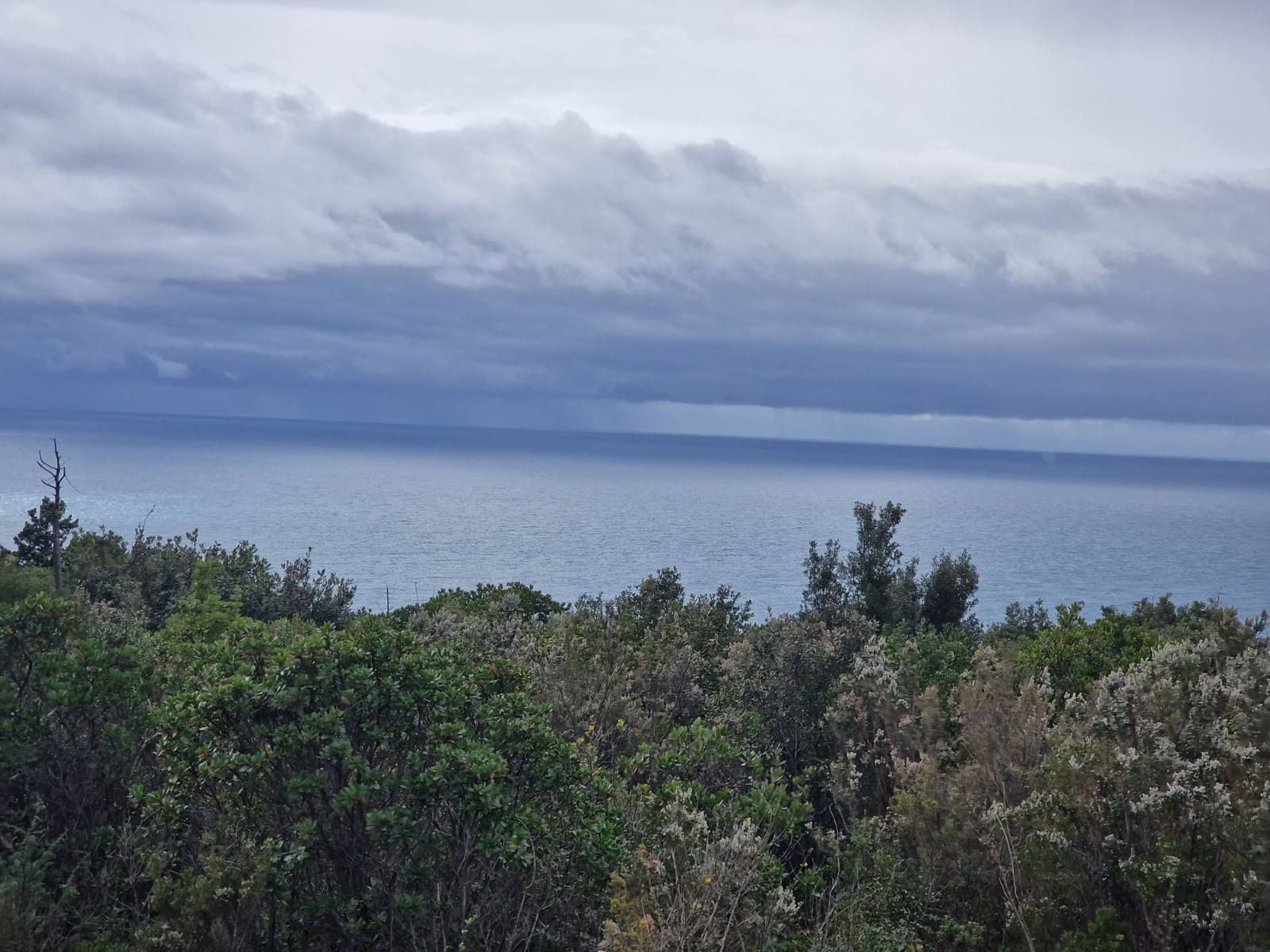 Urbanizovan plac 5000m2 sa pogledom na more ,Zagora-Opstina Kotor. - Amfora Real Estate