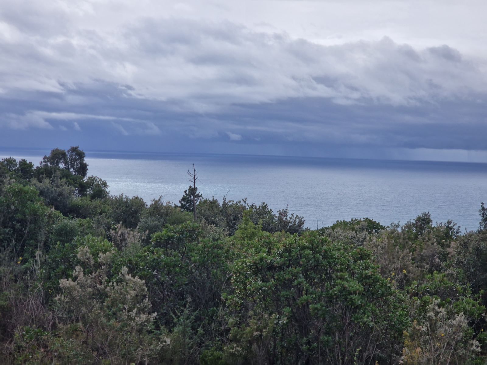 Urbanizovan plac 5000m2 sa pogledom na more ,Zagora-Opstina Kotor. - Amfora Real Estate