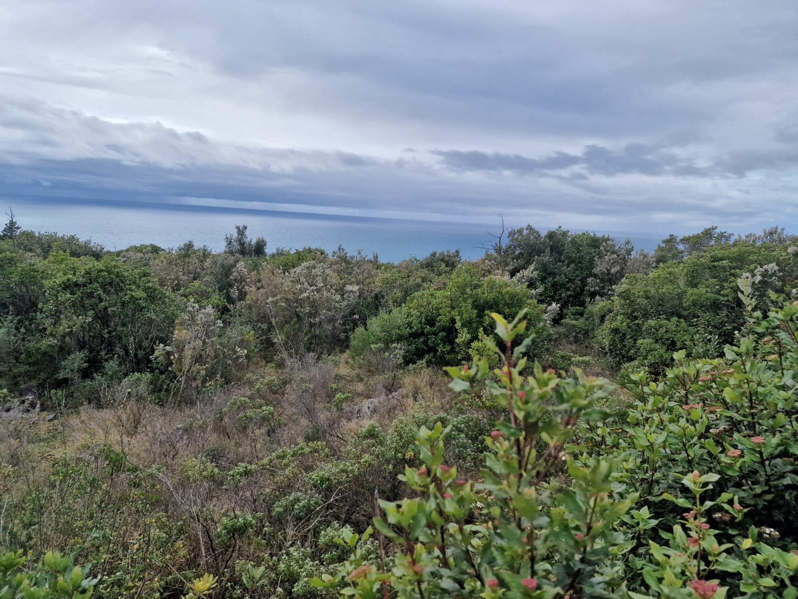 Urbanizovan plac 5000m2 sa pogledom na more ,Zagora-Opstina Kotor. - Amfora Real Estate