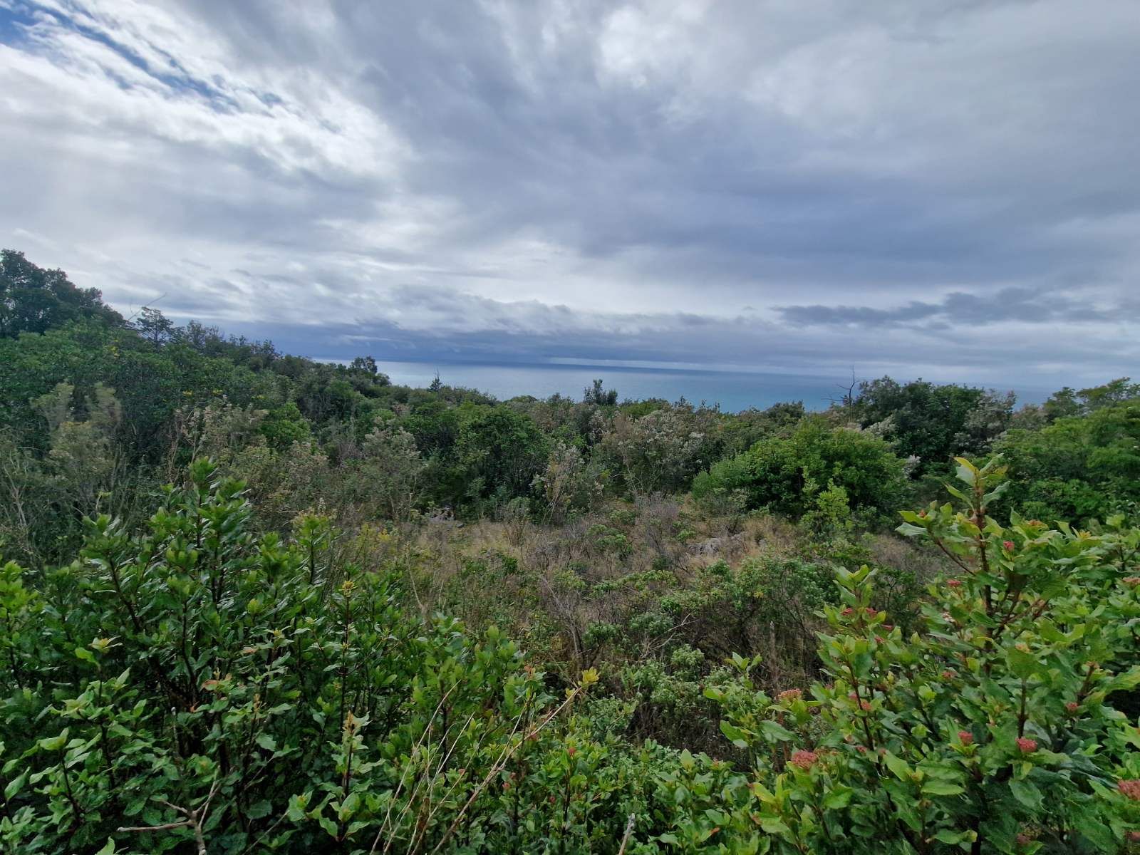 Urbanizovan plac 5000m2 sa pogledom na more ,Zagora-Opstina Kotor. - Amfora Real Estate