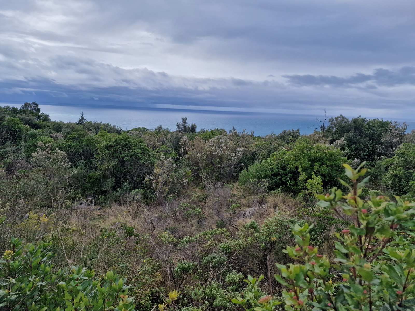 Urbanizovan plac 5000m2 sa pogledom na more ,Zagora-Opstina Kotor. - Amfora Real Estate