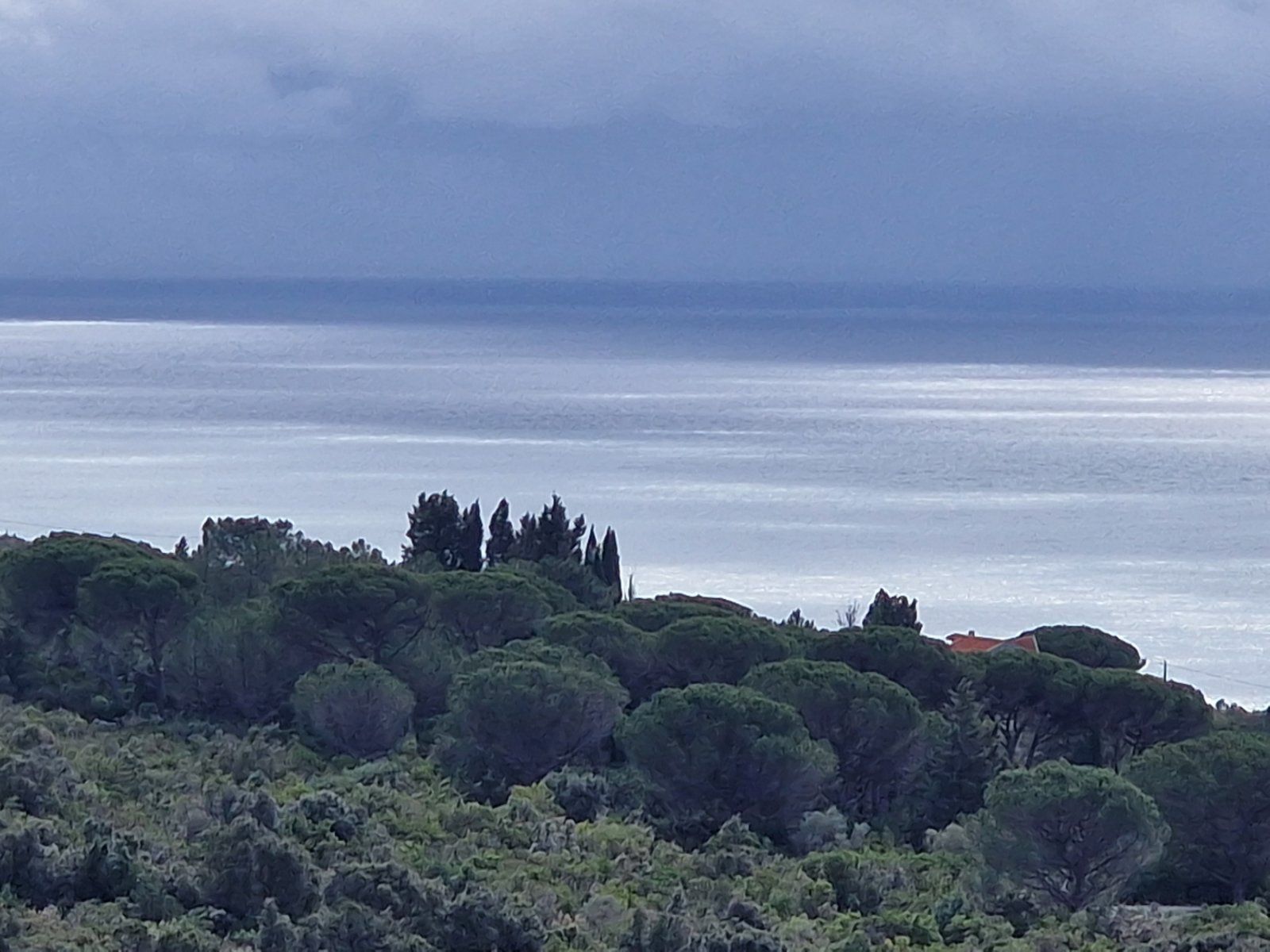 Urbanizovan plac 930m2 sa pogledom na more ,Zagora-Opstina Kotor. - Amfora Real Estate