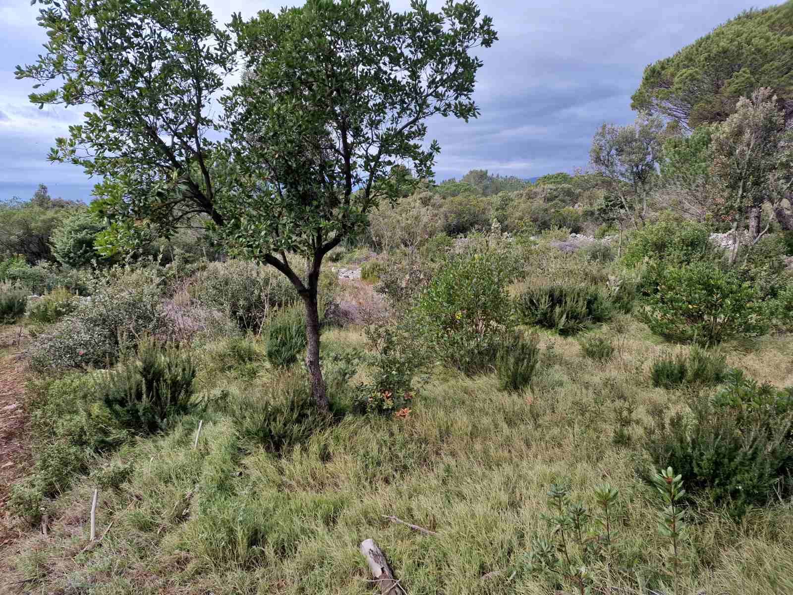 Urbanizovan plac 930m2 sa pogledom na more ,Zagora-Opstina Kotor. - Amfora Real Estate