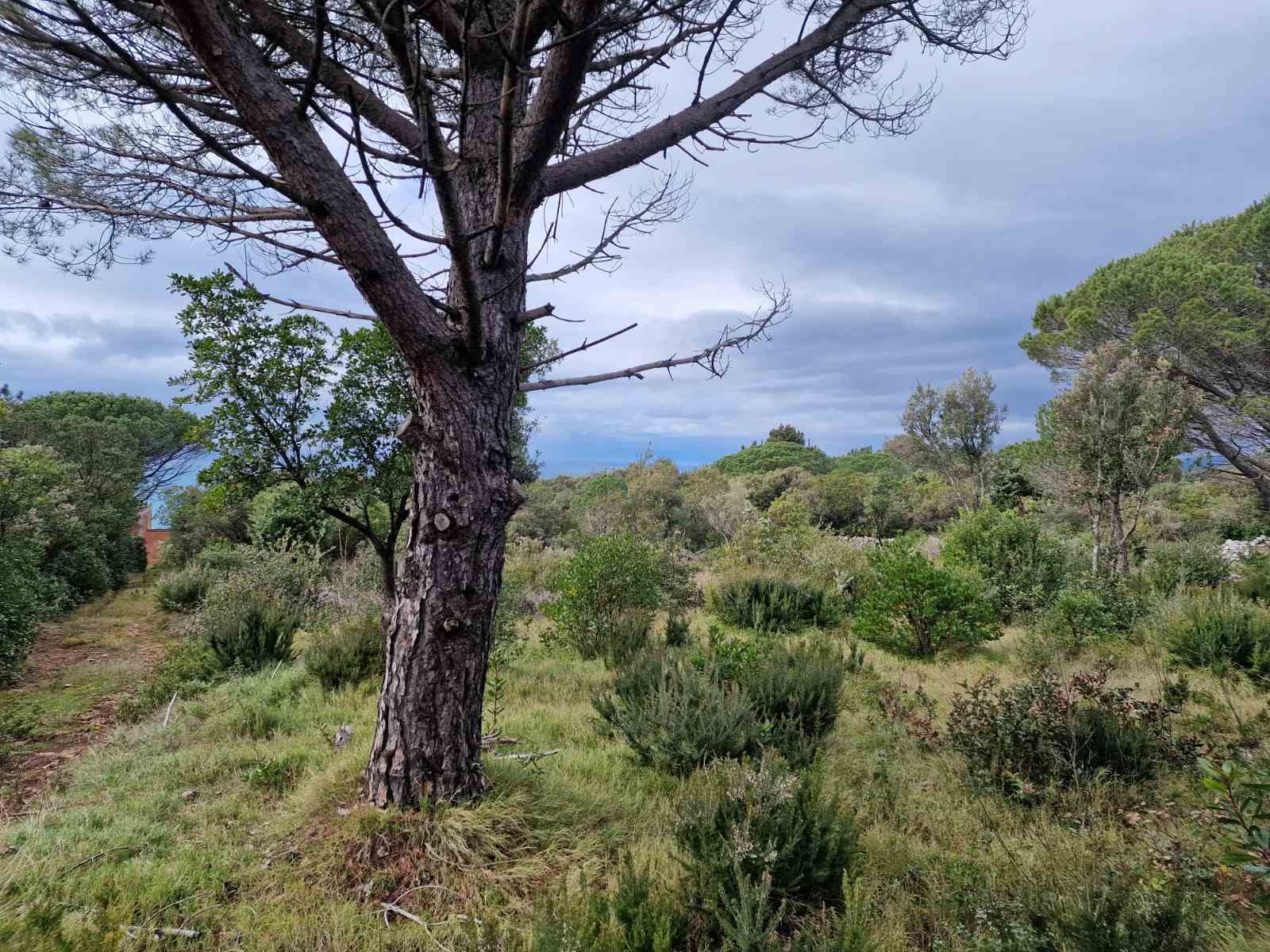 Urbanizovan plac 930m2 sa pogledom na more ,Zagora-Opstina Kotor. - Amfora Real Estate