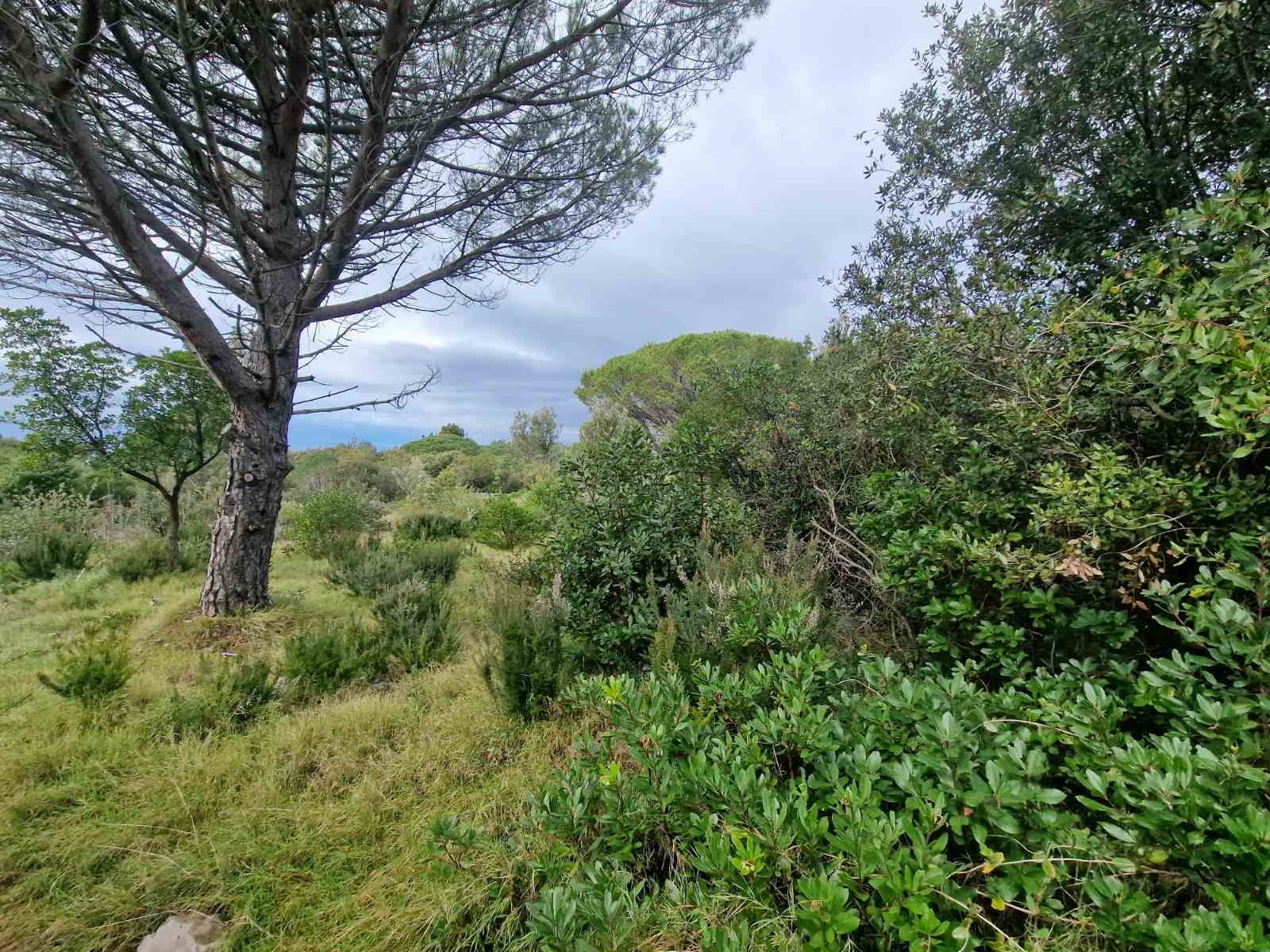 Urbanizovan plac 930m2 sa pogledom na more ,Zagora-Opstina Kotor. - Amfora Real Estate