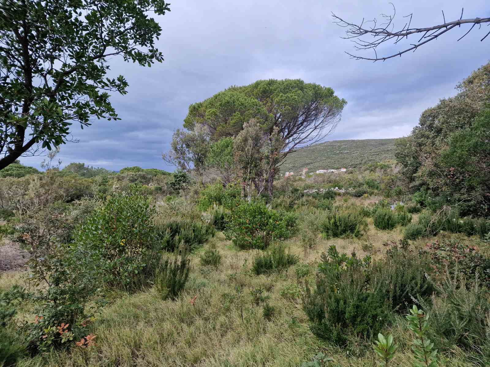 Urbanizovan plac 930m2 sa pogledom na more ,Zagora-Opstina Kotor. - Amfora Real Estate