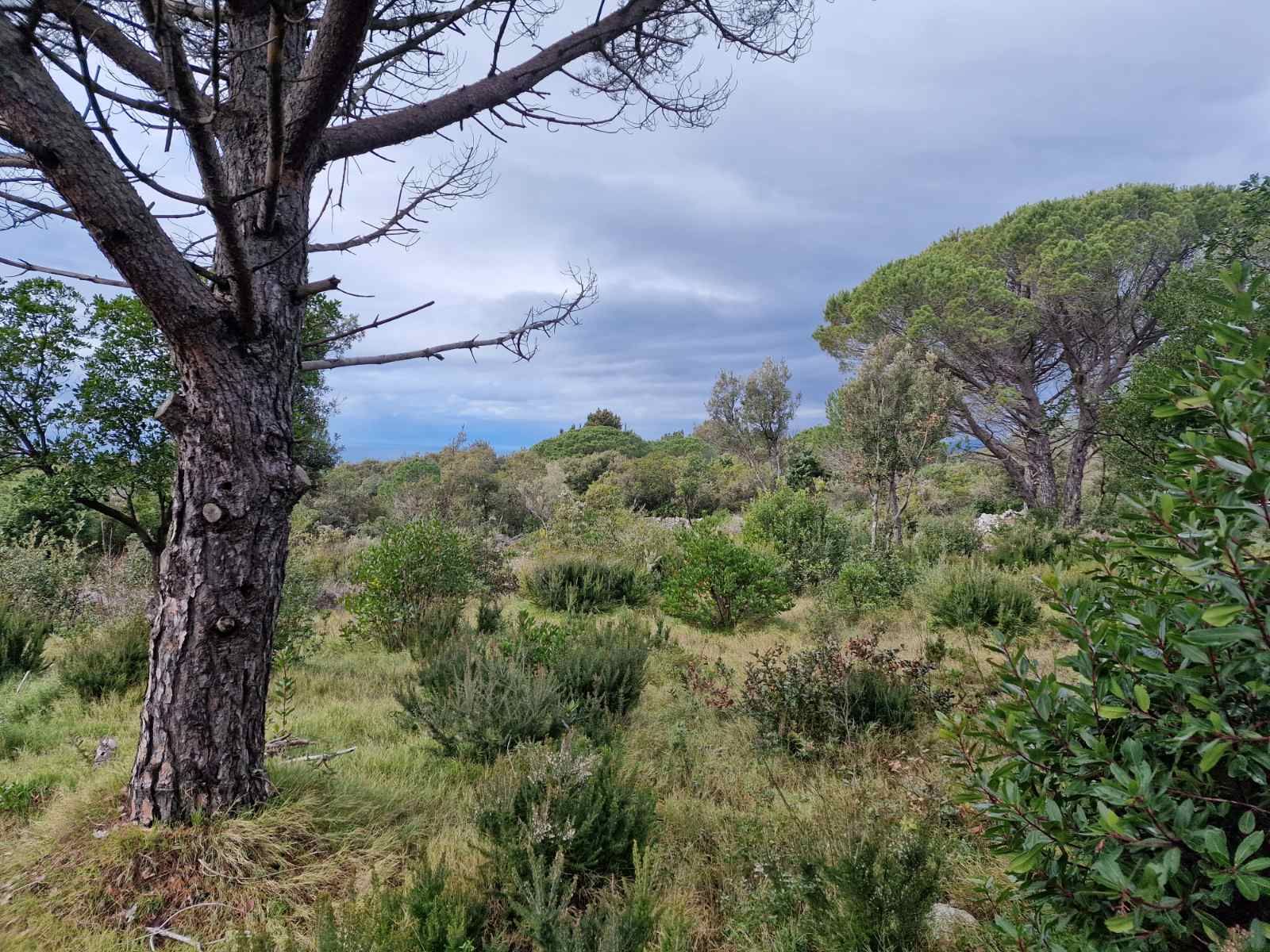 Urbanizovan plac 930m2 sa pogledom na more ,Zagora-Opstina Kotor. - Amfora Real Estate