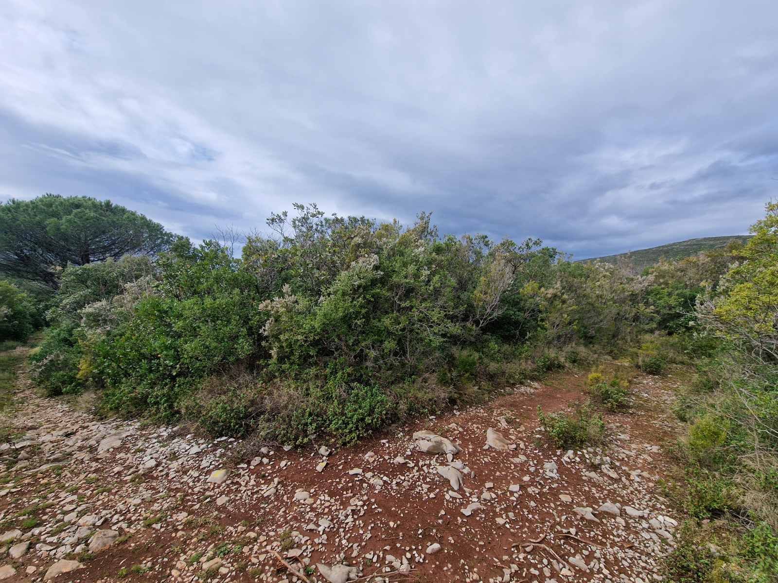 Urbanizovan plac 930m2 sa pogledom na more ,Zagora-Opstina Kotor. - Amfora Real Estate