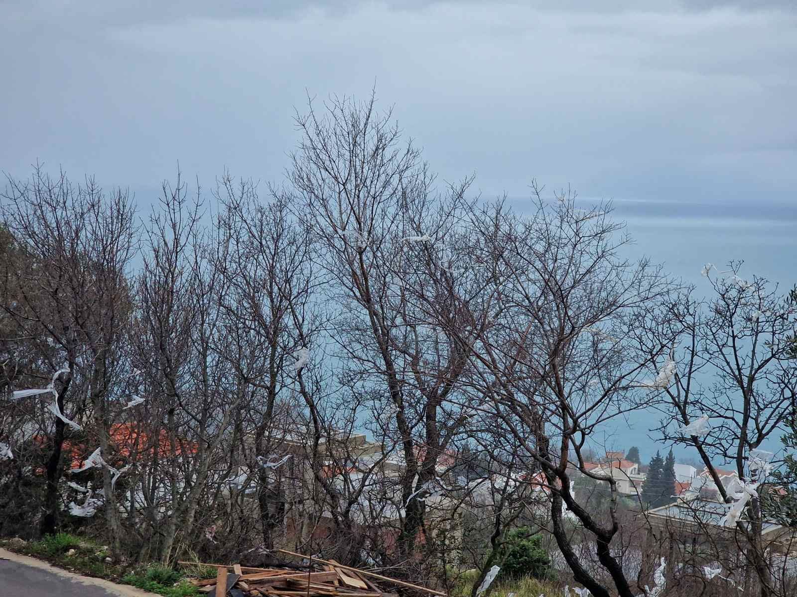 Urbanizovan plac 1174m2 sa pogledom na more,Blizikuce-Budva. - Amfora Real Estate