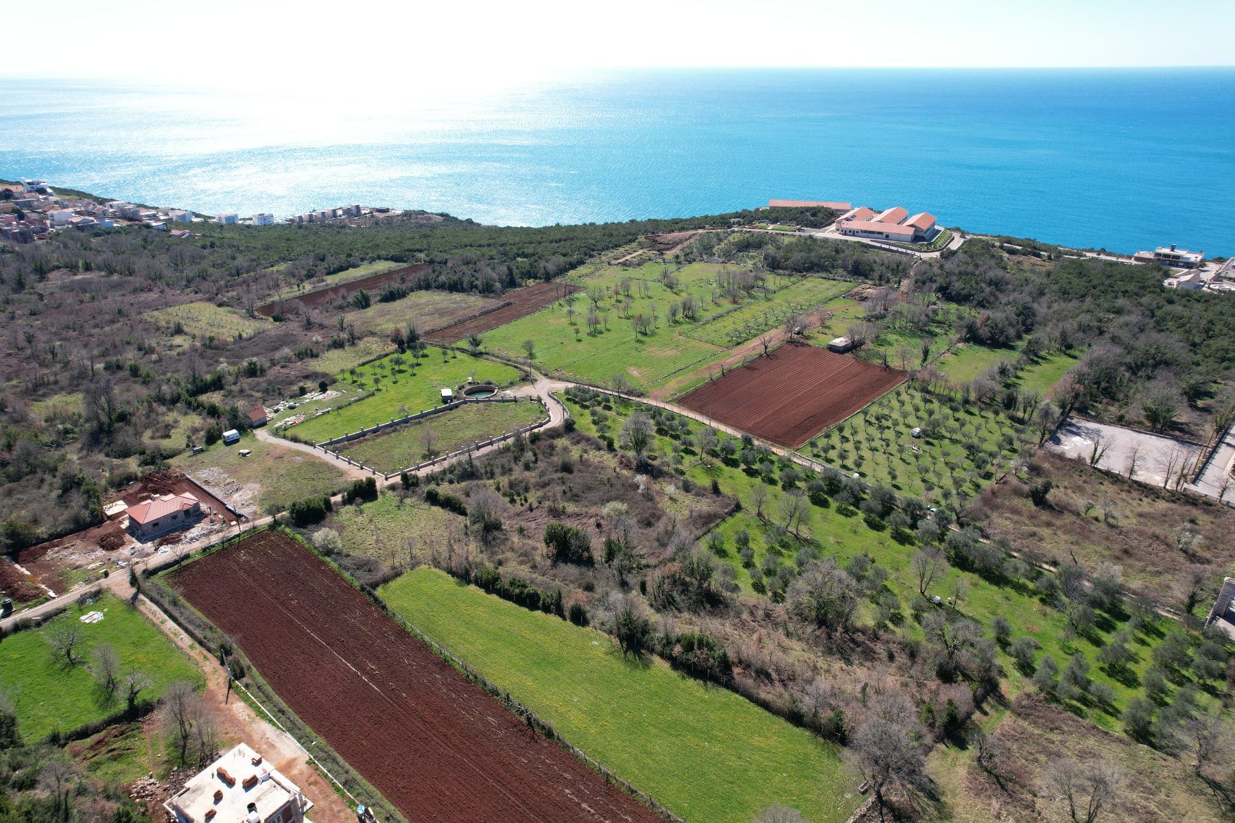 Na prodaju predivan ravan plac od 3520m2 ,Krimovica-opstina Kotor. - Amfora Real Estate