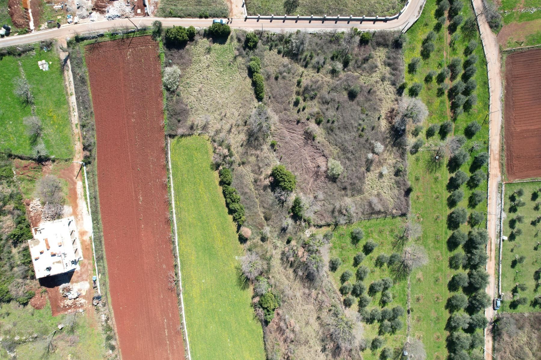 Na prodaju predivan ravan plac od 3520m2 ,Krimovica-opstina Kotor. - Amfora Real Estate