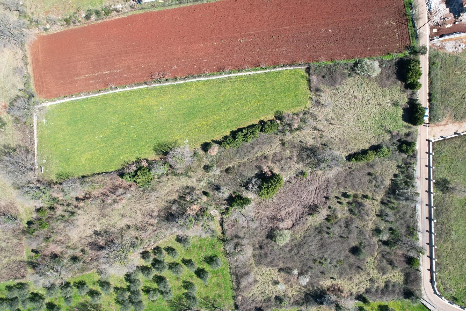 Na prodaju predivan ravan plac od 3520m2 ,Krimovica-opstina Kotor. - Amfora Real Estate