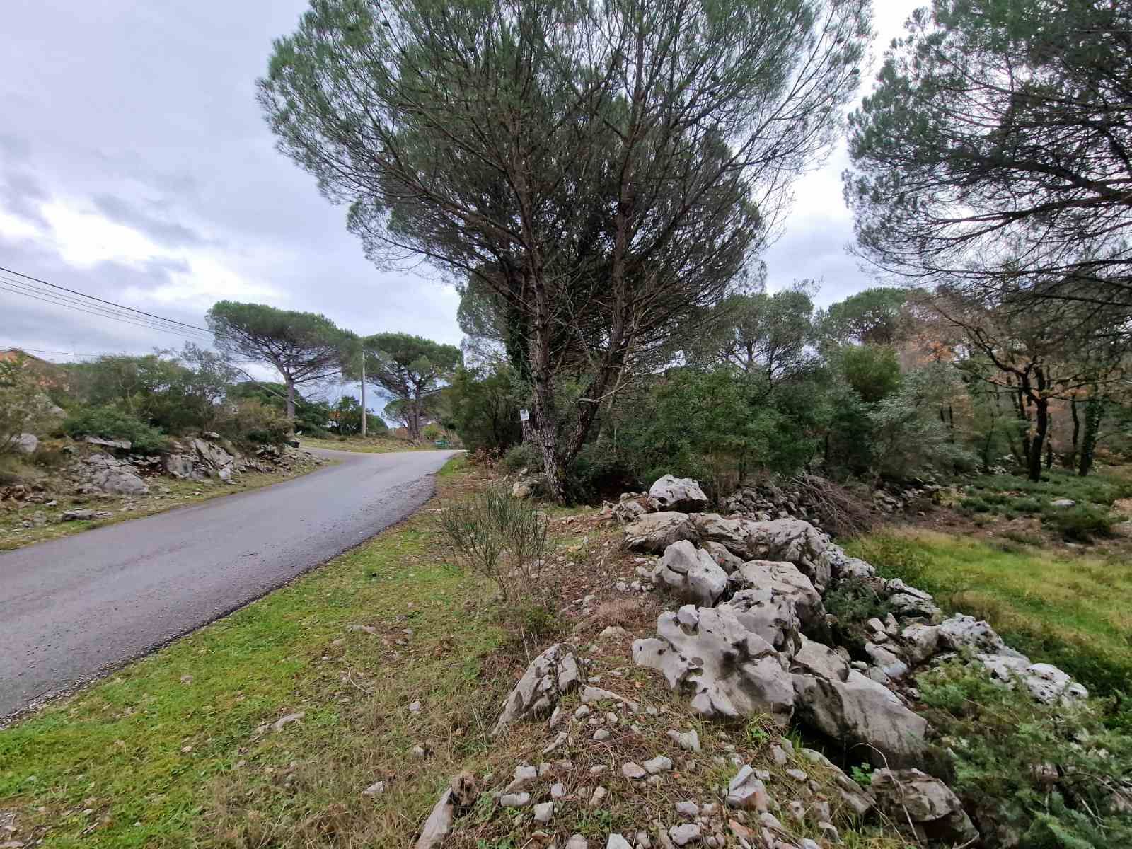 Plac povrsine 1150m2 ,Zagora-Opstina Kotor. - Amfora Real Estate