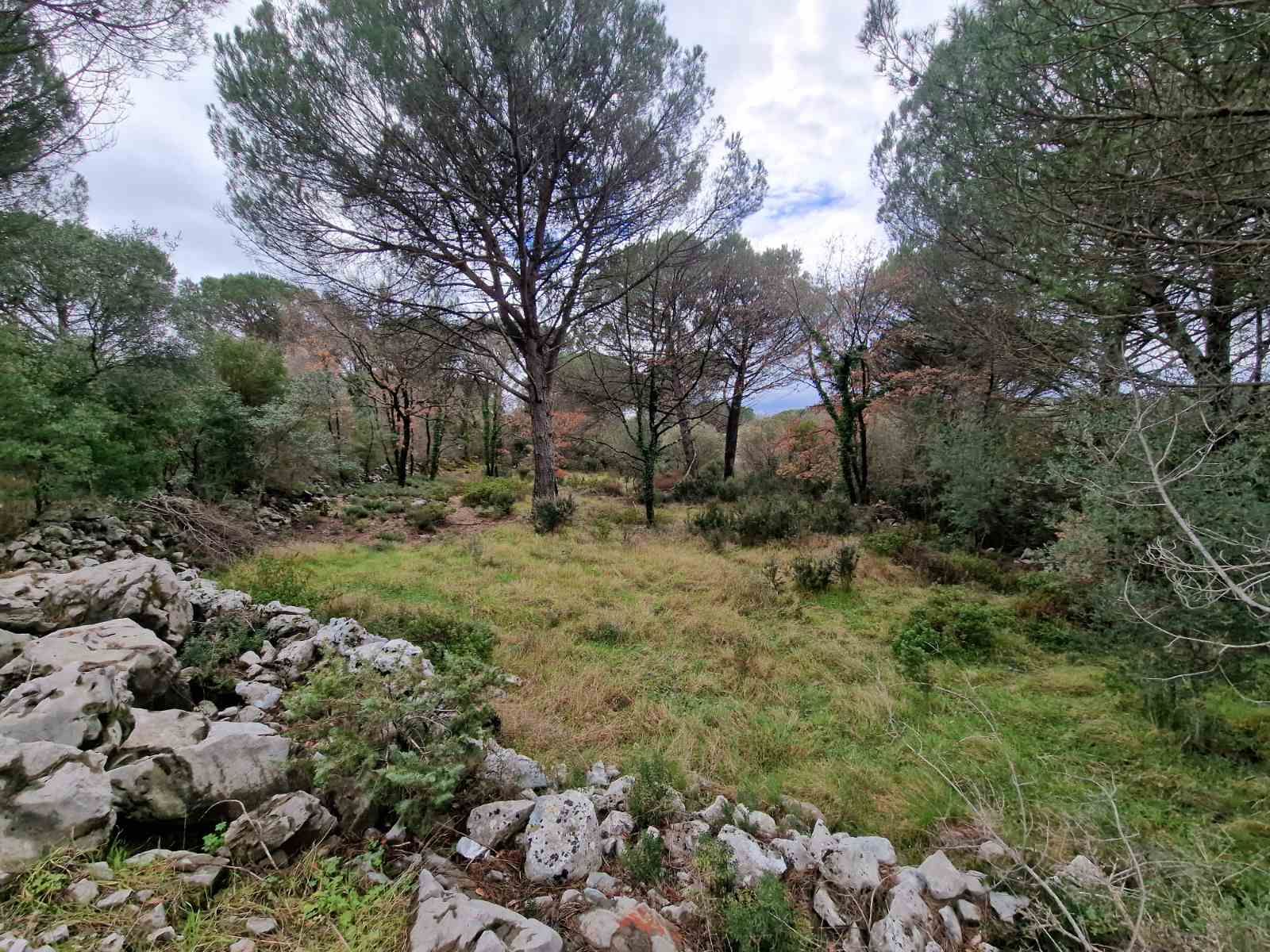 Plac povrsine 1150m2 ,Zagora-Opstina Kotor. - Amfora Real Estate