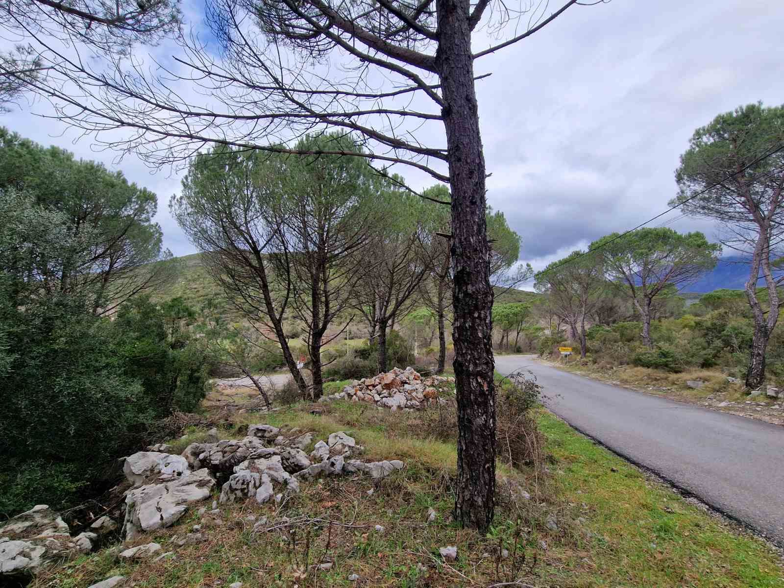 Plac povrsine 1150m2 ,Zagora-Opstina Kotor. - Amfora Real Estate