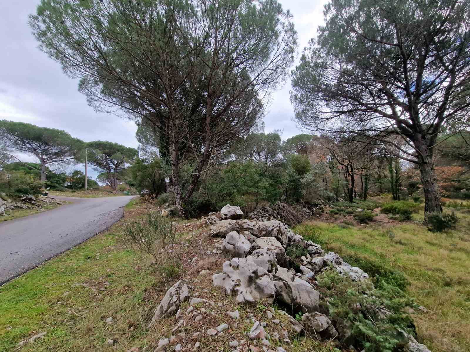 Plac povrsine 1150m2 ,Zagora-Opstina Kotor. - Amfora Real Estate