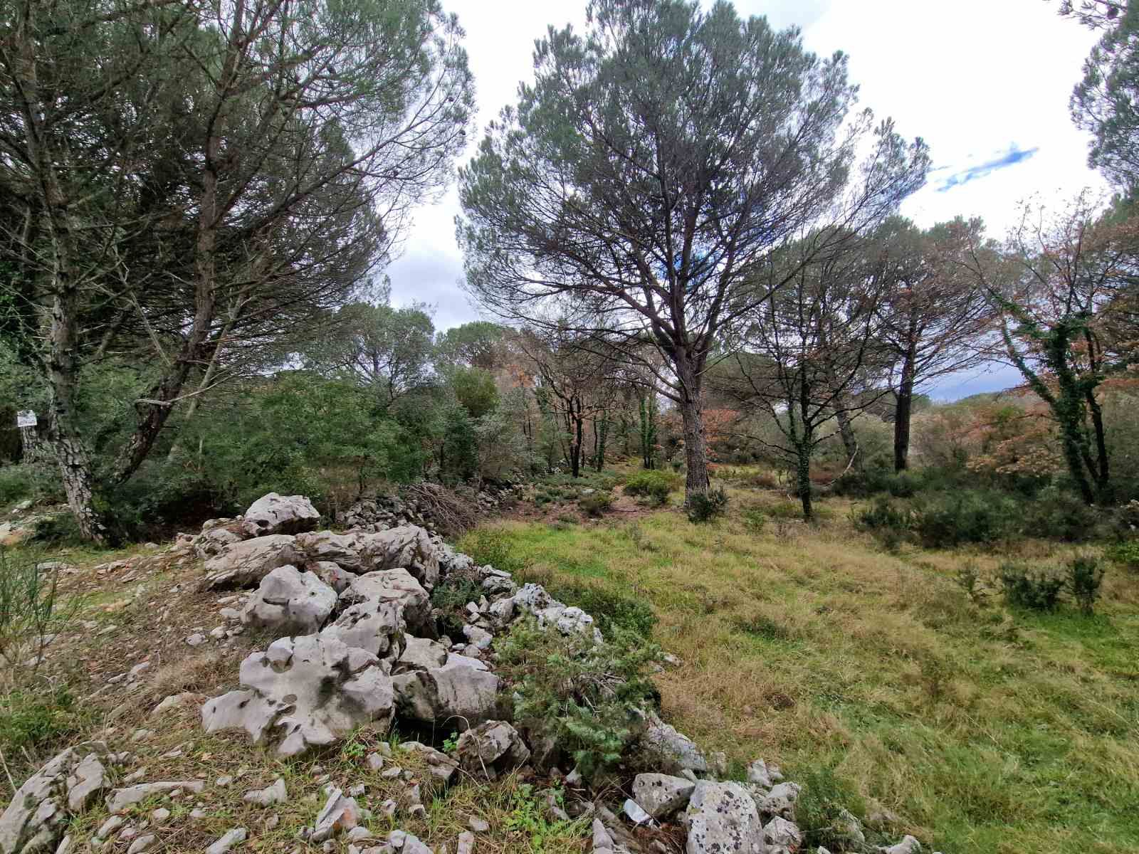 Plac povrsine 1150m2 ,Zagora-Opstina Kotor. - Amfora Real Estate