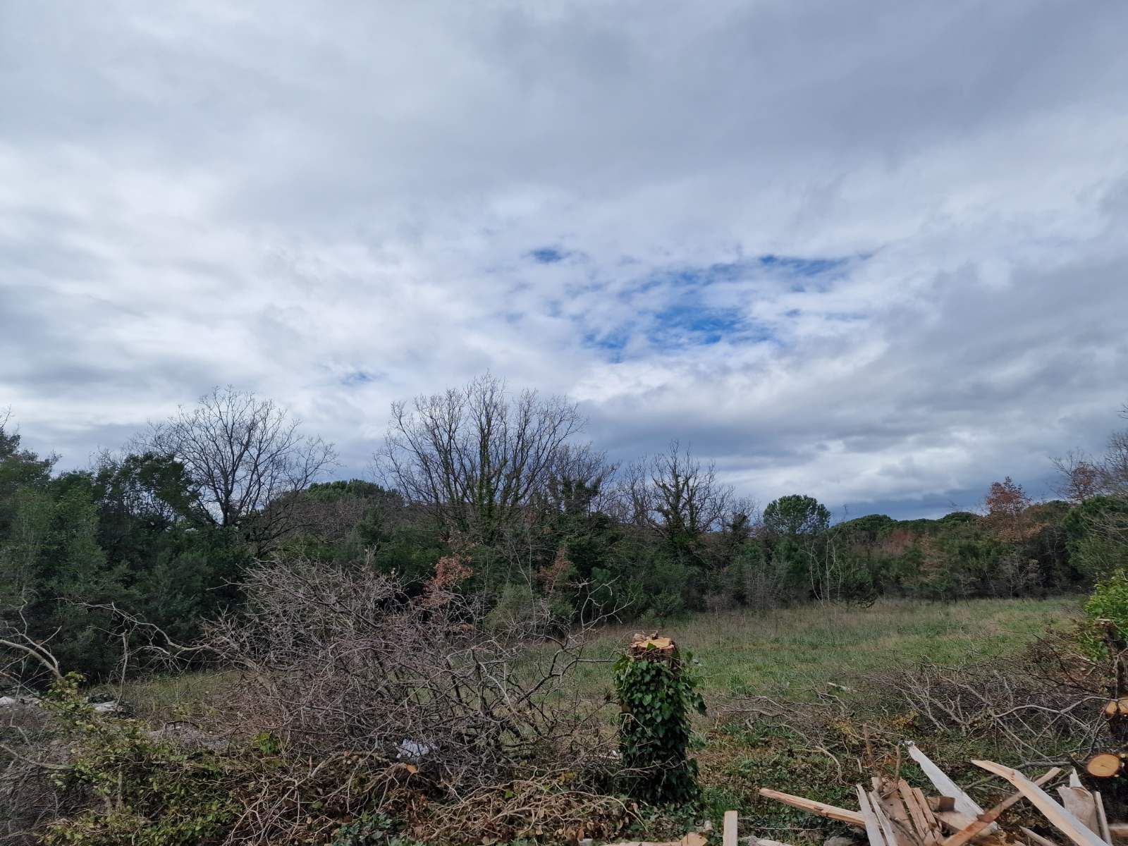 Plac 1000m2 sa pogledom na more,Krimovica-Opstina Kotor. - Amfora Real Estate