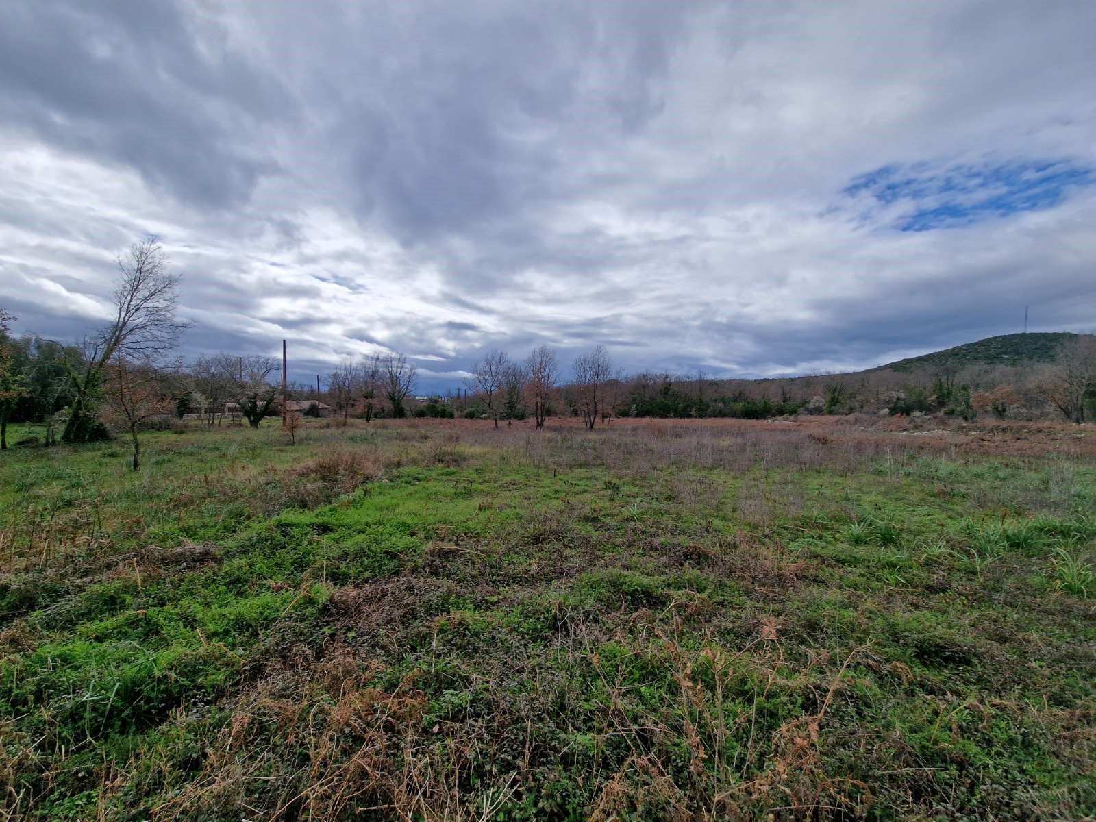 Plac 6400m2 ,Krimovica-Opstina Kotor. - Amfora Real Estate