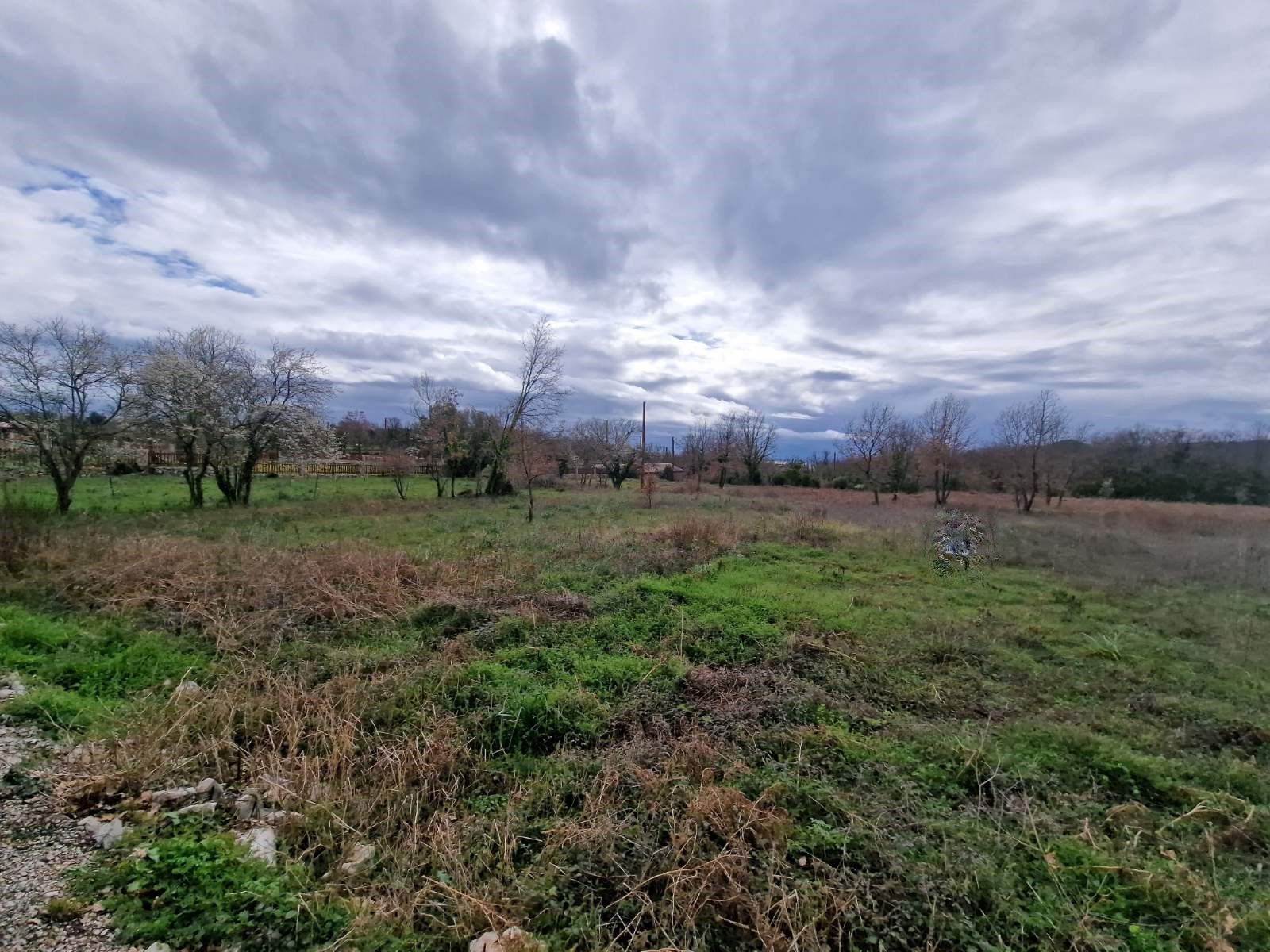 Plac 6400m2 ,Krimovica-Opstina Kotor. - Amfora Real Estate