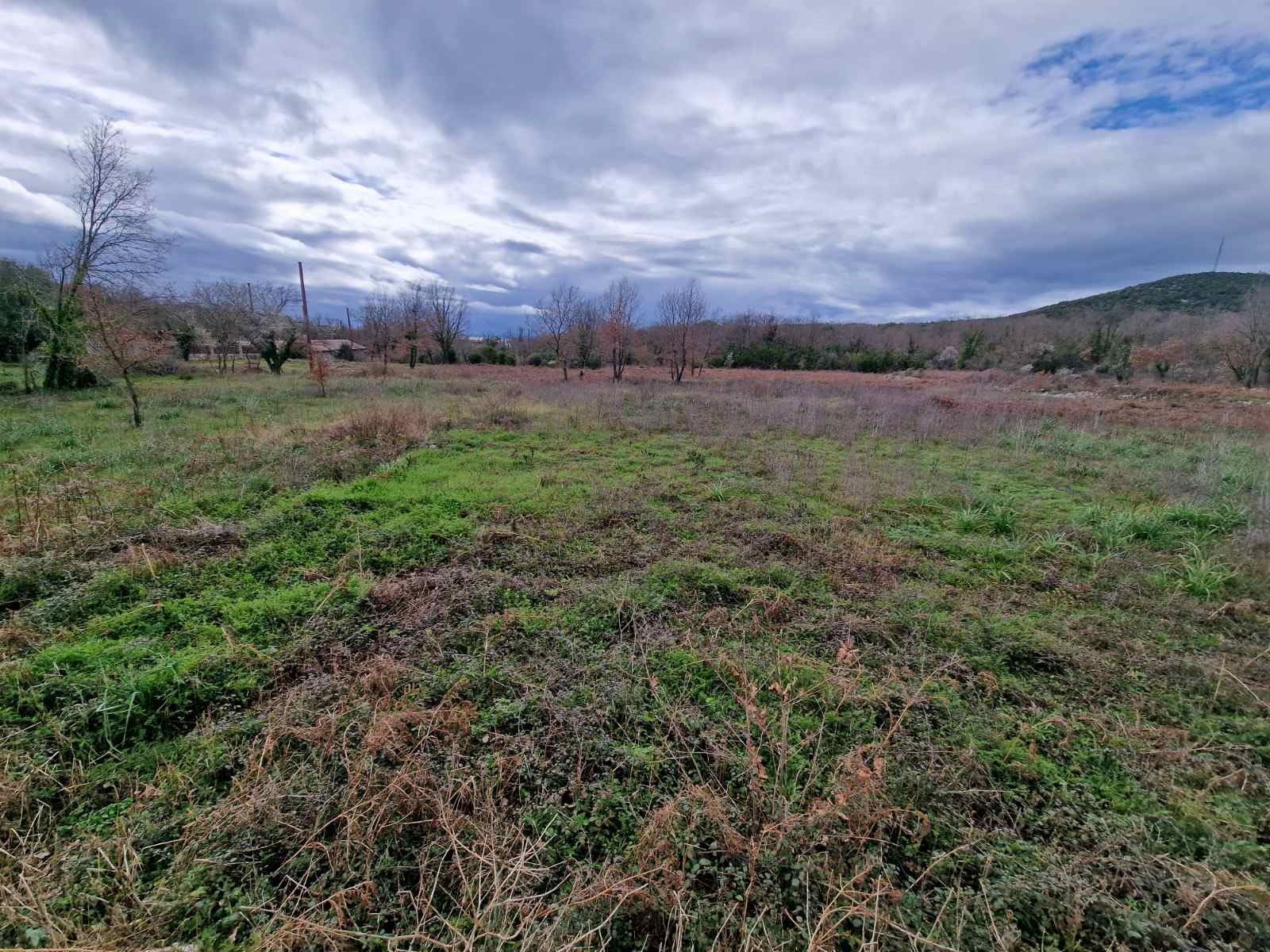 Plac 6400m2 ,Krimovica-Opstina Kotor. - Amfora Real Estate