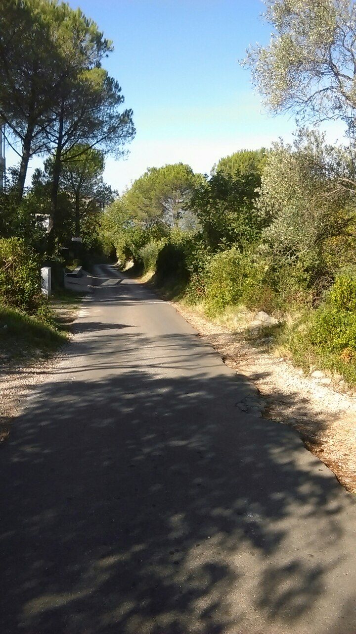 Plac 5,218m2 sa panoramskim pogledom na more u naselju Mirište (Žanjice), Luštica. - Amfora Real Estate