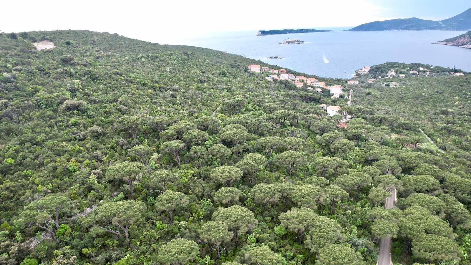 amforaproperty.com/Plac 1,046m2 sa panoramskim pogledom na more u naselju Mirište (Žanjice), Opstina Herceg Novi