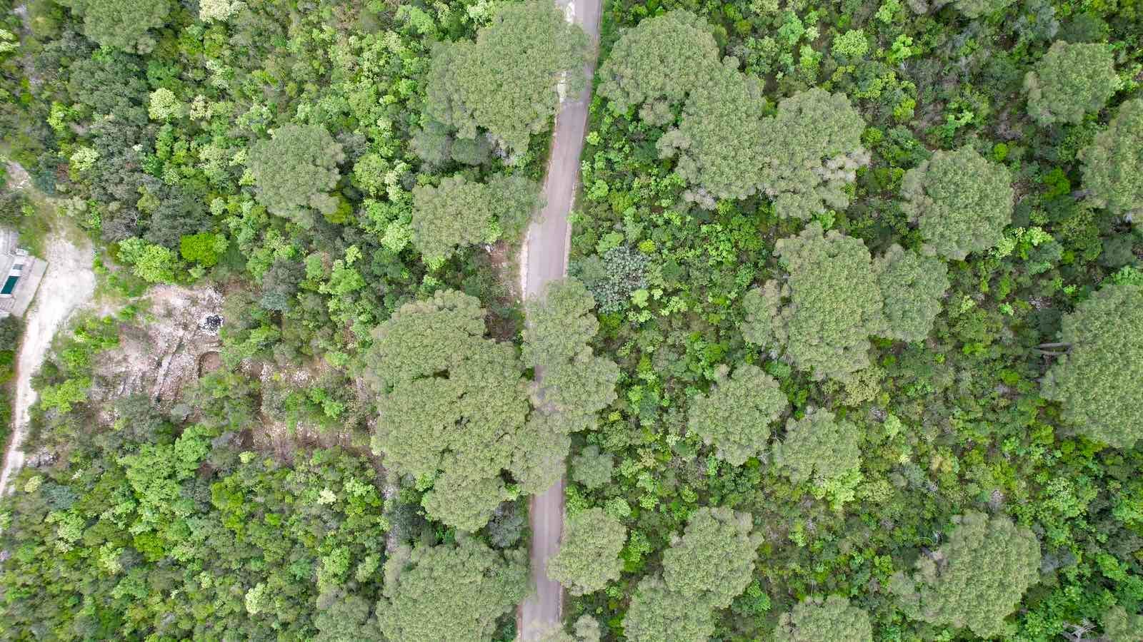 amforaproperty.com/Plac 1,046m2 sa panoramskim pogledom na more u naselju Mirište (Žanjice), Opstina Herceg Novi