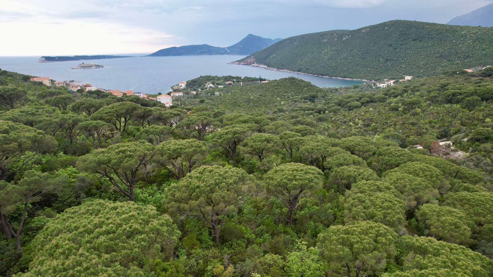 amforaproperty.com/Plac 1,046m2 sa panoramskim pogledom na more u naselju Mirište (Žanjice), Opstina Herceg Novi