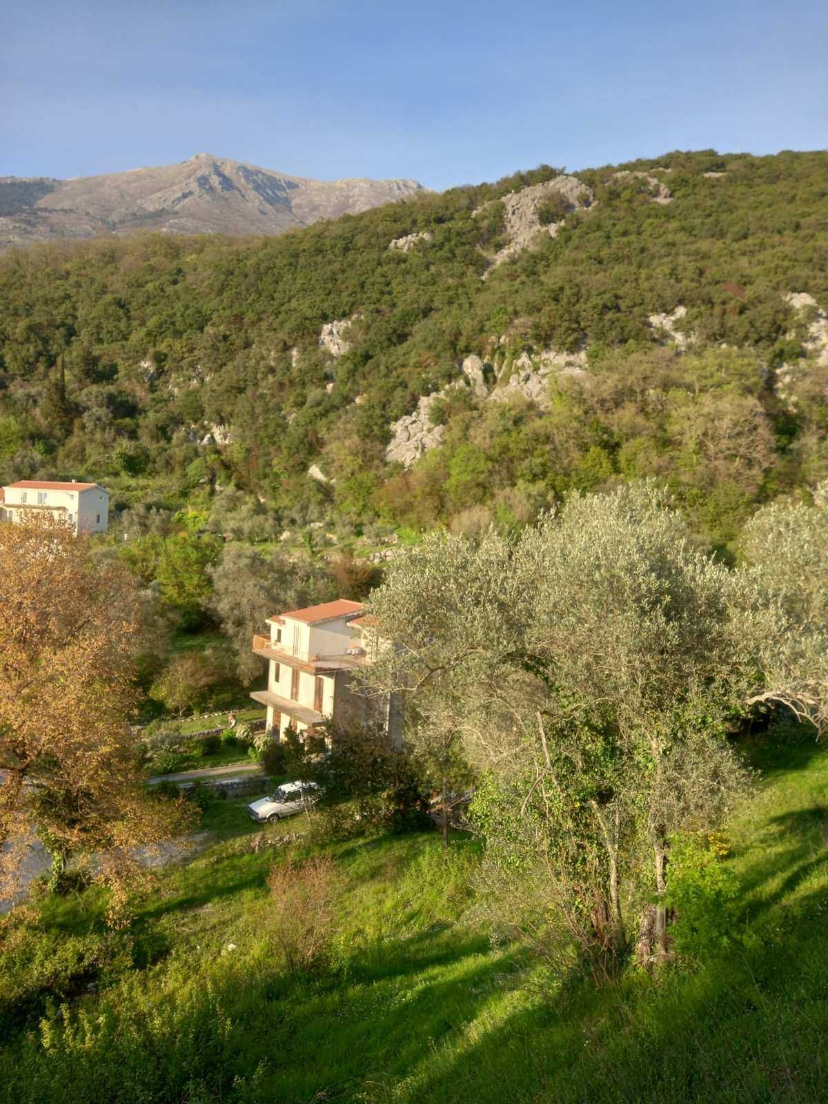 Prodaja,Naljezici,Kotor-Plac 1300m² sa pogledom na zaliv - Amfora Real Estate