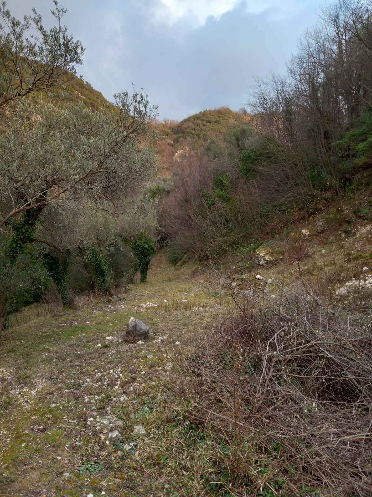 Prodaja,Naljezici,Kotor-Plac 1300m² sa pogledom na zaliv - Amfora Real Estate