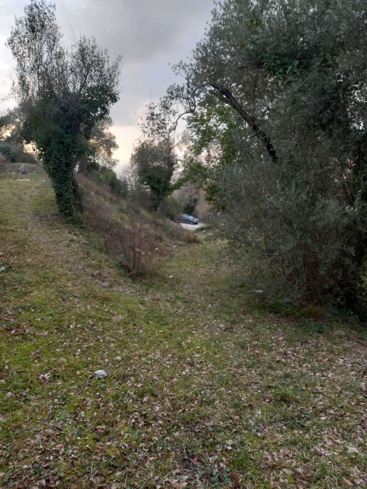Prodaja,Naljezici,Kotor-Plac 1300m² sa pogledom na zaliv - Amfora Real Estate