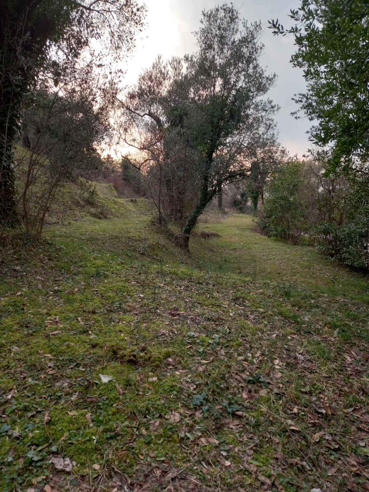 Prodaja,Naljezici,Kotor-Plac 1300m² sa pogledom na zaliv - Amfora Real Estate