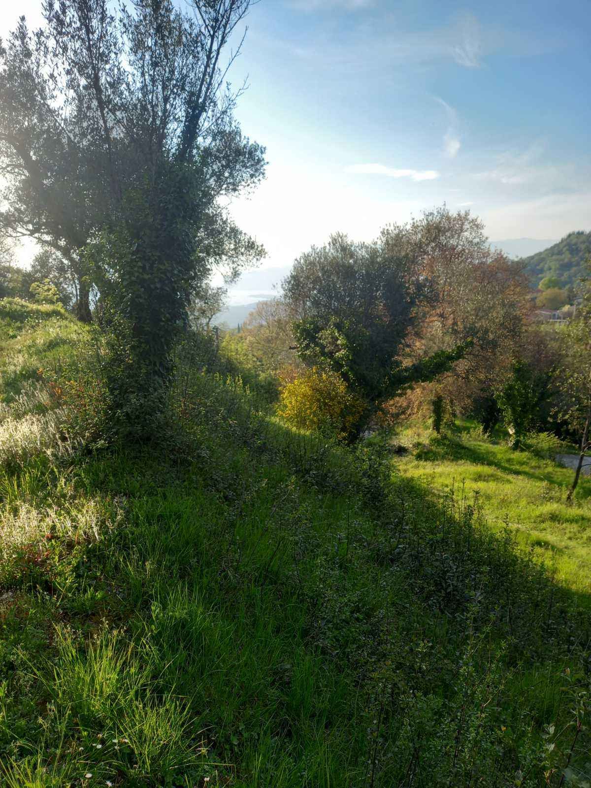 Prodaja,Naljezici,Kotor-Plac 1300m² sa pogledom na zaliv - Amfora Real Estate