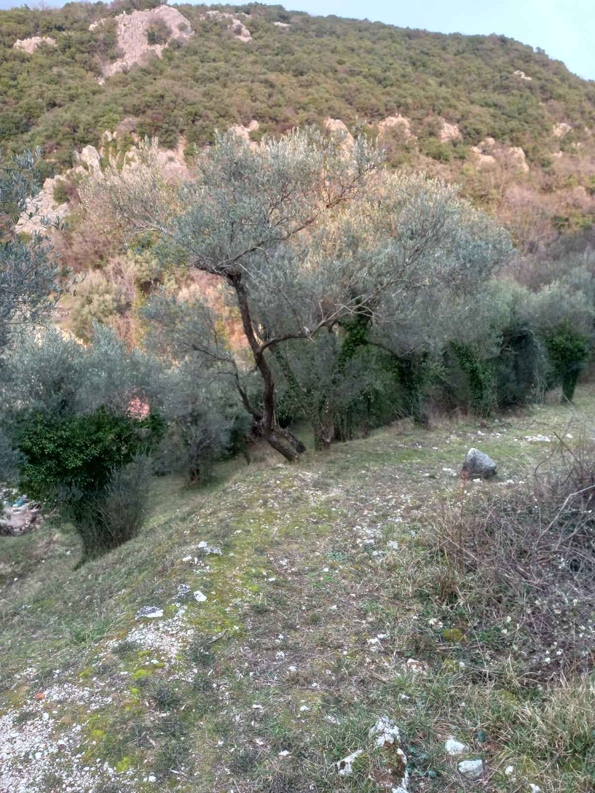 Prodaja,Naljezici,Kotor-Plac 1300m² sa pogledom na zaliv - Amfora Real Estate