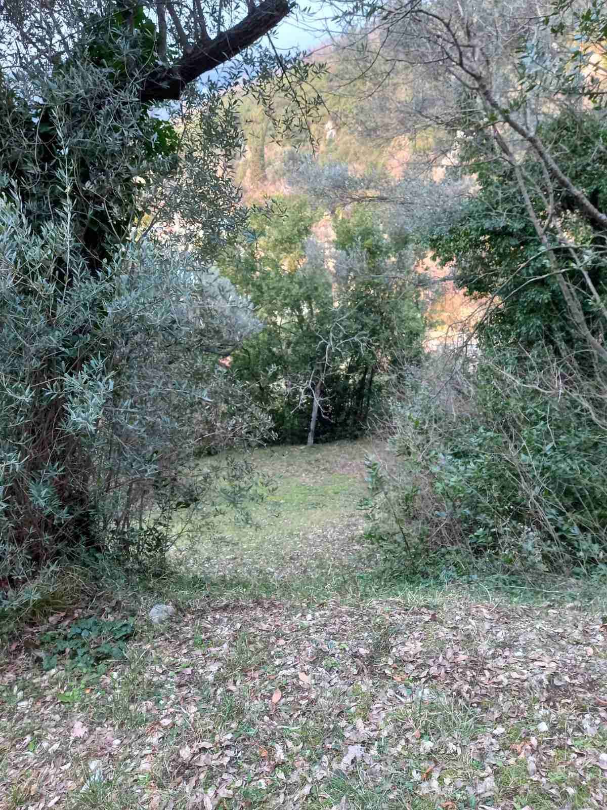 Prodaja,Naljezici,Kotor-Plac 1300m² sa pogledom na zaliv - Amfora Real Estate