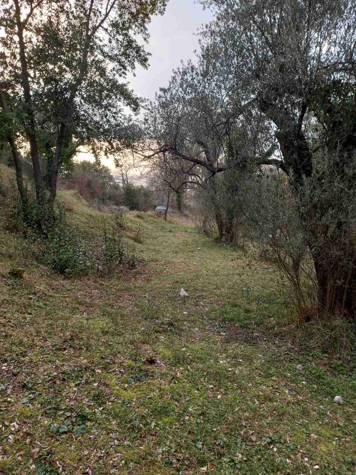 Prodaja,Naljezici,Kotor-Plac 1300m² sa pogledom na zaliv - Amfora Real Estate