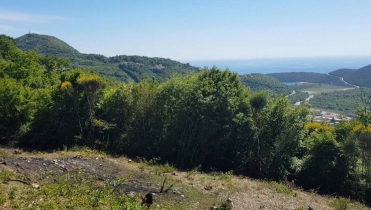 amforaproperty.com/Neurbanizovan plac  6300m2 , Svinjišta, Budva.