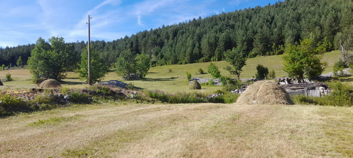 amforaproperty.com/Plac površine 10,354m2 pored same magistrale Zabljak-Pljevlja (7km od centra Zabljaka)