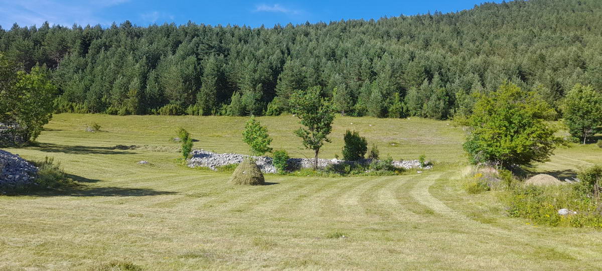 amforaproperty.com/Plac površine 10,354m2 pored same magistrale Zabljak-Pljevlja (7km od centra Zabljaka)