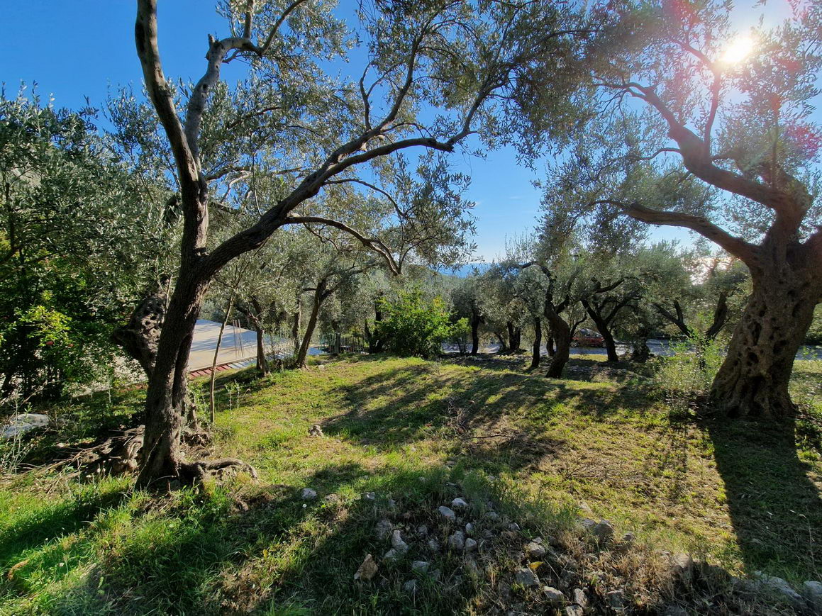 amforaproperty.com/Gradjevinski plac 1650m2 sa nezagradivim pogledom na more, Reževici-Budva