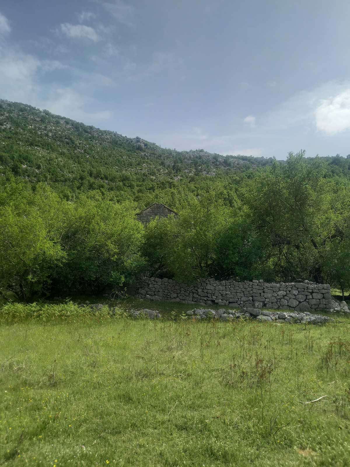 amforaproperty.com/Zemljiste površine 610,000m2 u mestu Dragalj,opština Kotor.